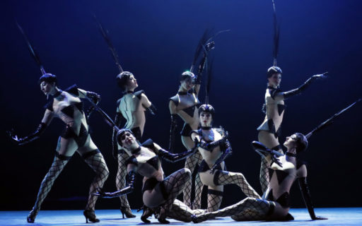 Фридрихштадтпаласт